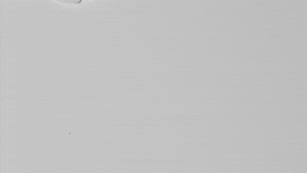 O2 Snow Bubble Activator 150 ml - Görsel 2